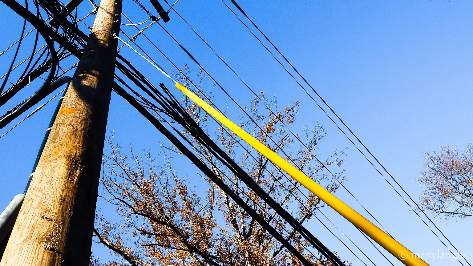 Utilities Utility pole with yellow cable encasing manylaughs